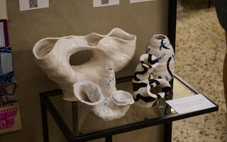 A Lifetime Through Self-Expression