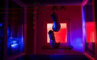 Στάση / Ποτάμι