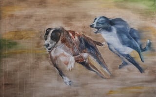 Tindara Spartà: MAD HOUSE