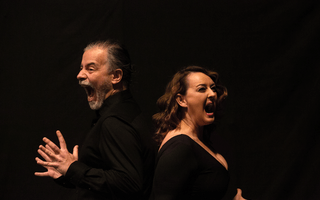 Ελεύθερη Σχέση