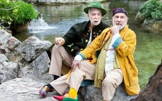 Παραλλαγές πάπιας 