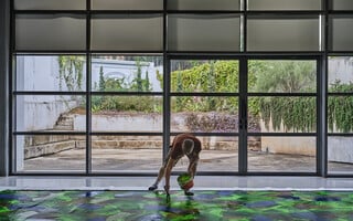 Michael Petry: The 365 Project