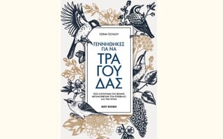 «Μήπως τελικά χρειάζεται να τραγουδάω;»