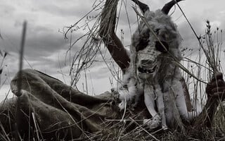 Servare Intaminatum. Κλιματική Κρίση – Από το Αόρατο στο Ορατό ή πώς να αναπαραστήσεις το αδιανόητο