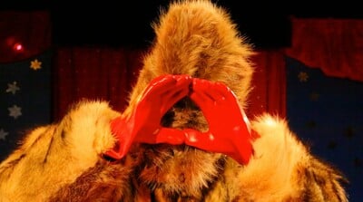 «Τσίρκο και ταριχευτές»: 4 βραβευμένες avant garde ταινίες στον θερινό κινηματογράφο Ριβιέρα