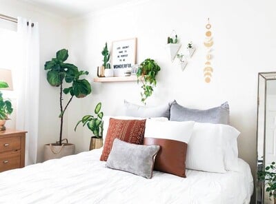 6 φυτά για να βάλετε στο υπνοδωμάτιό σας