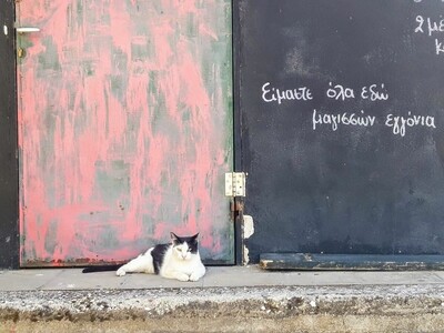 10 νέες φωτογραφίες απ' τα τέλεια ζώα των αναγνωστών μας #413