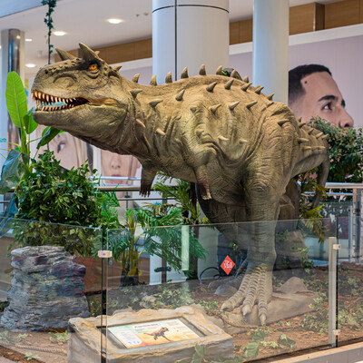 Οι «Δεινόσαυροι» έρχονται στο The Mall Athens!