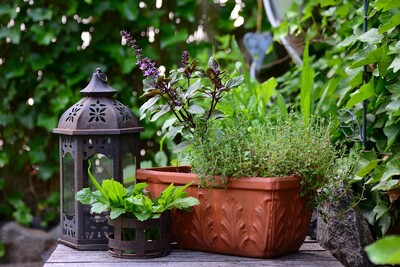 Urban Kipos Awards by Praktiker: Διεκδίκησε πλούσια δώρα στον πιο outdoor living διαγωνισμό 