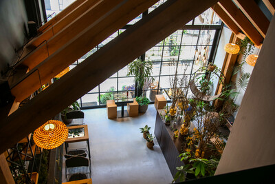 Ohayo tea house
