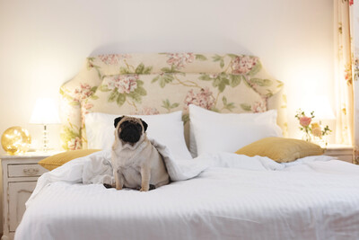 Luxury Studios and Apartments Gatto Perso