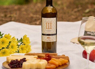 Cuvee III Μέγα Σπήλαιο: Ένα εκρηκτικό blend από τους χαρισματικούς αμπελώνες της ορεινής Αιγιάλειας