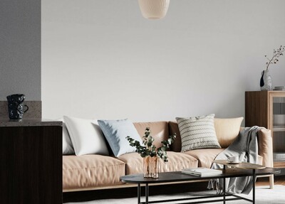 Η Vitex συστήνει την AIRIS, την προσωπική σου AI Color Decorator