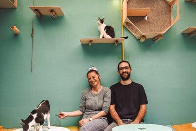 1o Cat Festival: Η περιέργεια γιόρτασε τη γάτα!