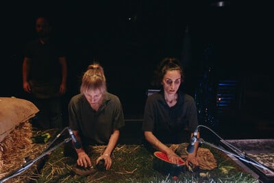 Cow | Deer: Το Εθνικό Θέατρο συνεργάζεται για πρώτη φορά με το Royal Court Theatre