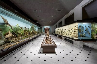 «Ο γύρος του κόσμου...σε 10 Κυριακές» στο Εθνικό Μουσείο Φυσικής Ιστορίας Γουλανδρή