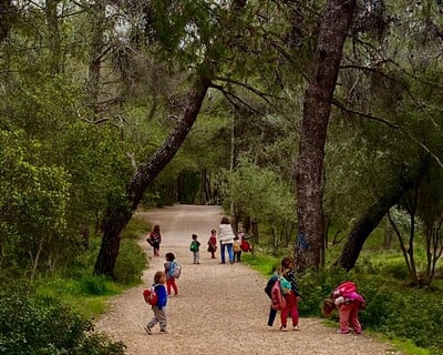 Παιδόκηπος Καρυδιά: Ένα ξεχωριστό νηπιαγωγείο που αγαπάνε παιδιά και γονείς 