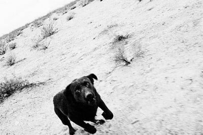 Μουσικάρες για ένα Σάββατο. Ο Στάθης Τσαγκαρουσιάνος επιλέγει.