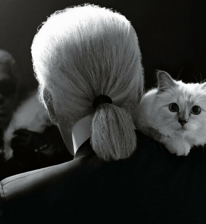 Tι κάνει η Choupette, η γάτα του Καρλ Λάγκερφελντ, ένα χρόνο μετά το θάνατό του;