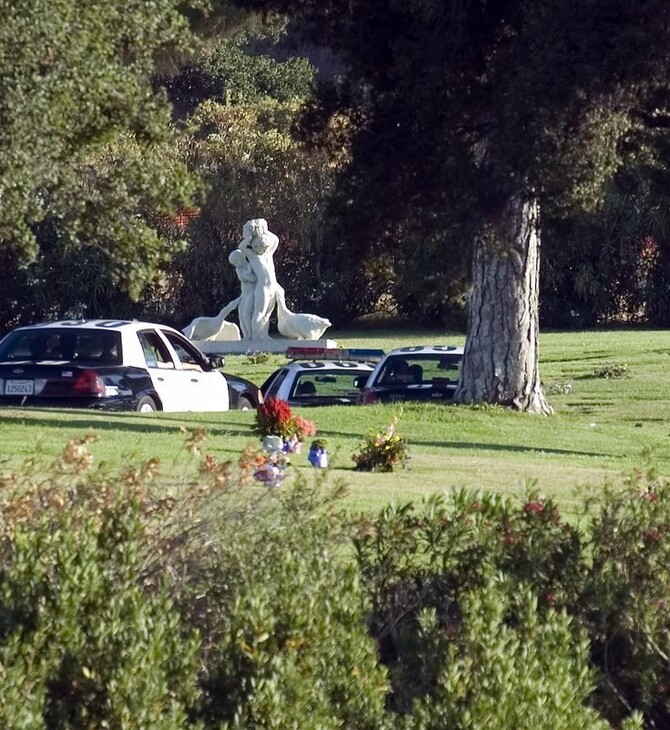 Κούγκαρ σκότωσε ποδηλάτη σε δασική περιοχή της πολιτείας Ουάσιγκτον