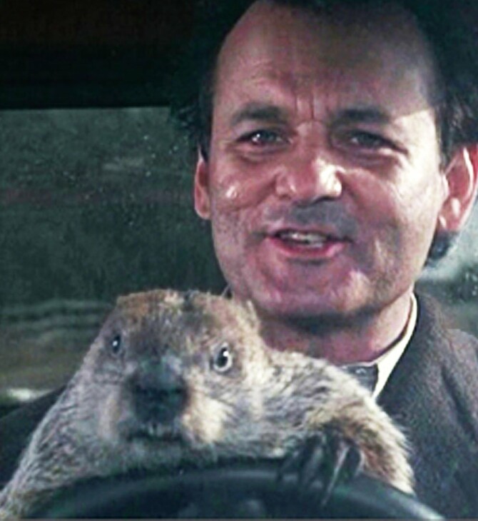 Happy Groundhog Day!