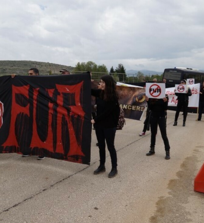 Καστοριά: Διαμαρτυρία φιλοζωικών οργανώσεων στη Διεθνή Έκθεση Γούνας