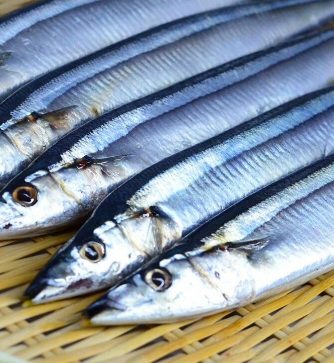 Ικιτζίμι: Η πιο καλή, γρήγορη και ανθρώπινη μέθοδος θανάτωσης ψαριών