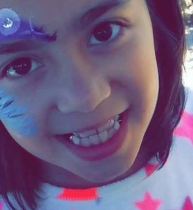 Ντιτρόιτ: Πιτ μπουλ σκότωσαν ένα 9χρονο κορίτσι