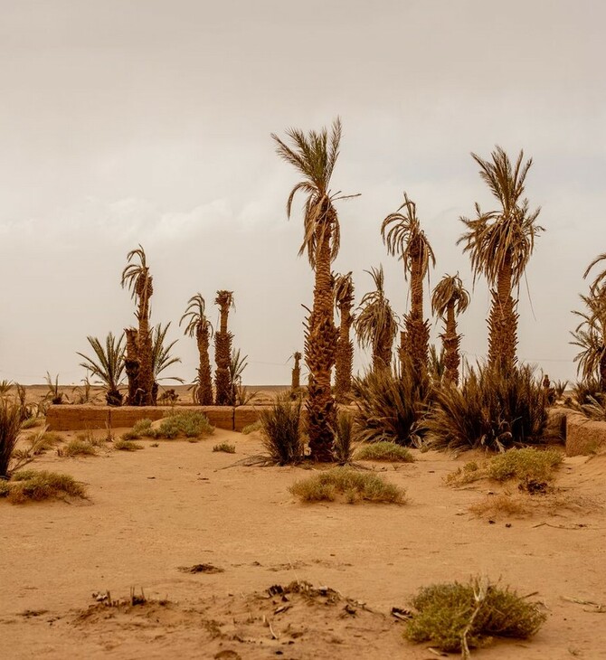 Μαρόκο: Σε κατάσταση συναγερμού οι οάσεις λόγω κλιματικής αλλαγής
