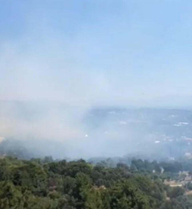 Πυρκαγιά στη Χίο - Μεγάλη επιχείρηση της πυροσβεστικής