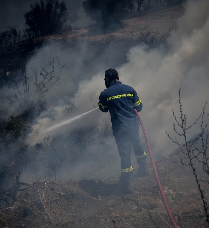 Τρία μέτωπα πυρκαγιάς στην Εύβοια - Σε συναγερμό η Πυροσβεστική