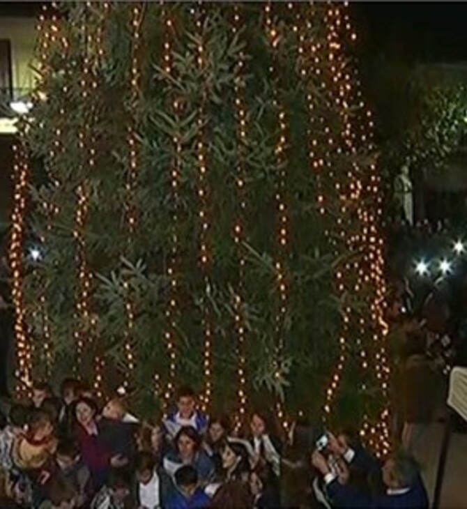 Χαλκιδική: Φωταγωγήθηκε το πρώτο Χριστουγεννιάτικο δέντρο στην Ελλάδα