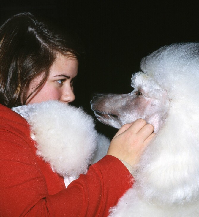 Ο Martin Andersen φωτογραφίζει τον σουρεαλισμό που βασιλεύει στις επιδείξεις σκύλων