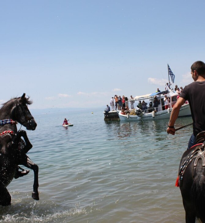 Ο Αγιασμός των Αλόγων - Ένα σπάνιο θέαμα από το έθιμο στο Πήλιο