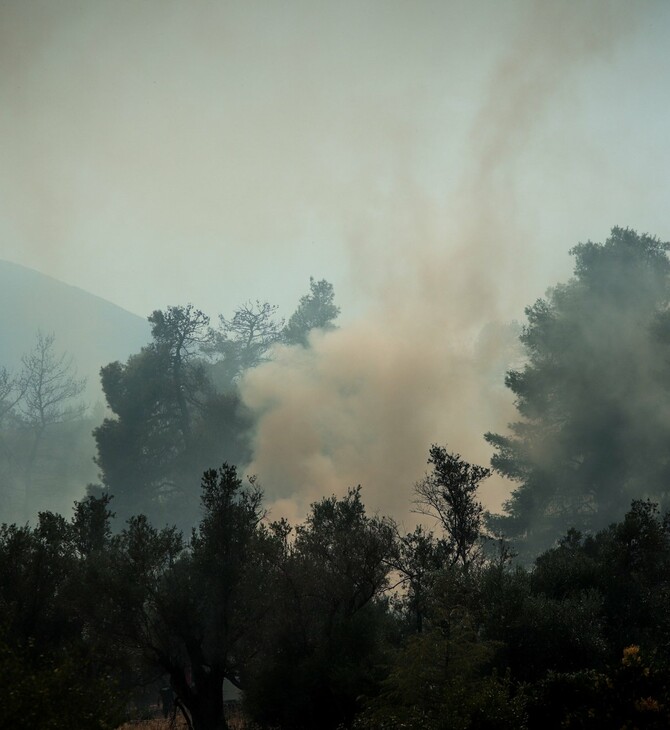 Φωτιά στη Μάνδρα: Υπό μερικό έλεγχο τέθηκε το μέτωπο της πυρκαγιάς