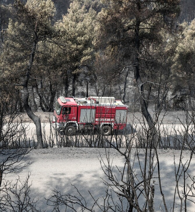 Φωτιά στην Εύβοια: Η Πυροσβεστική ερευνά πιθανότητα εμπρησμού μετά από ευρήματα