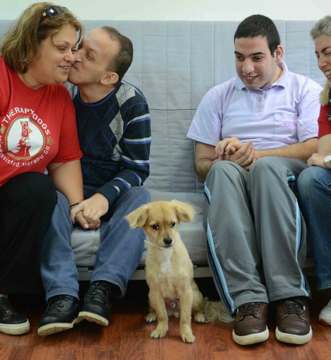 «Therapy Dogs»: πώς δημιουργήθηκε η πρώτη ομάδα «σκύλων-θεραπευτών» στην Ελλάδα