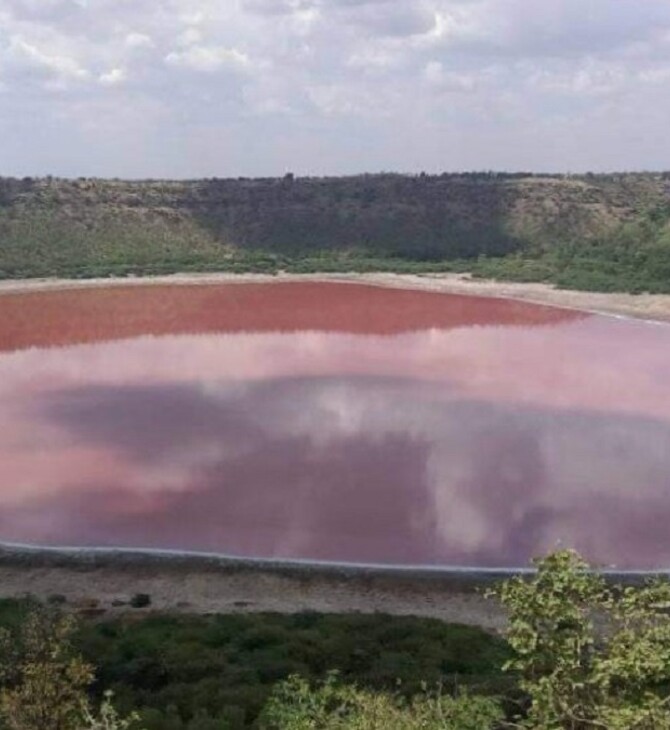 Ινδία: Η διάσημη λίμνη Μαχαράστρα έγινε ροζ μέσα σε λίγες ώρες