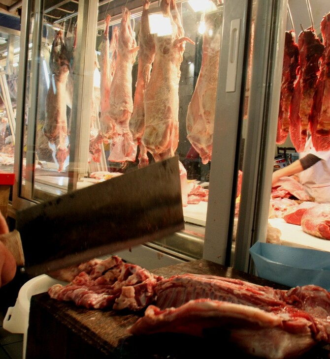 Κατάσχεση 7 τόνων αλλοιωμένου κρέατος από το ΣΔΟΕ - Είχαν προμηθεύσει νοσοκομεία και στρατόπεδα