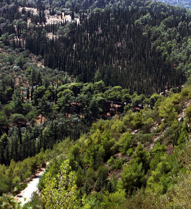 Το ΣτΕ έβαλε «τέλος» στην εξαγορά δημοσίων εκτάσεων από καταπατητές