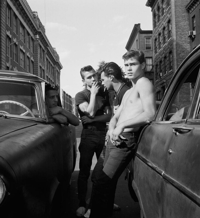 {{WILD BOYS}}