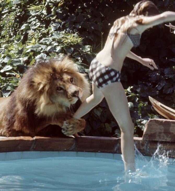 Roar: Η πιο επικίνδυνη ταινία που γυρίστηκε ποτέ