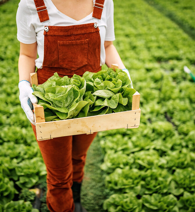 Από το αγρόκτημα στο πιάτο: Η ευρωπαϊκή επανάσταση στα συστήματα τροφίμων