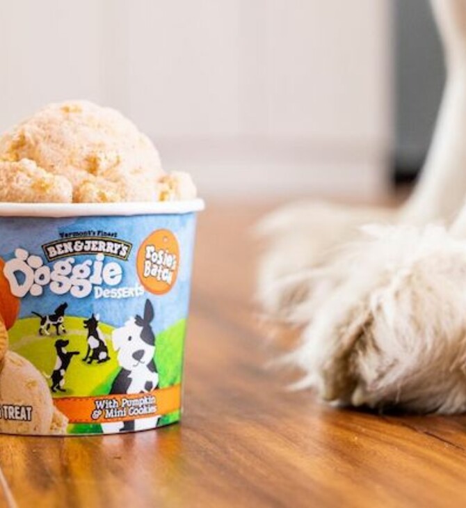 Τα Ben & Jerry’s κυκλοφόρησαν «παγωτά» για σκύλους