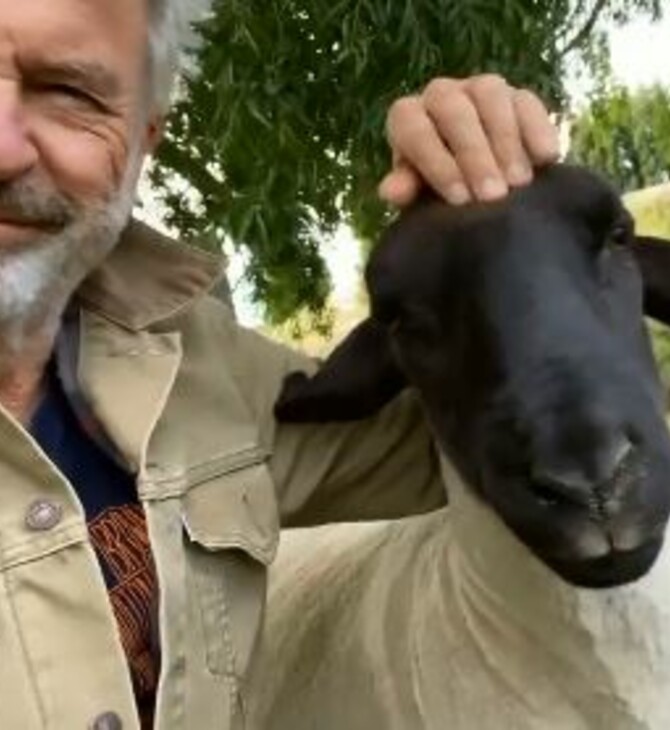Ο Σαμ Νιλ έδωσε ονόματα διασήμων στις αγελάδες του: «Δεν μπορείς να φας την Έλενα Μπόναμ Κάρτερ»