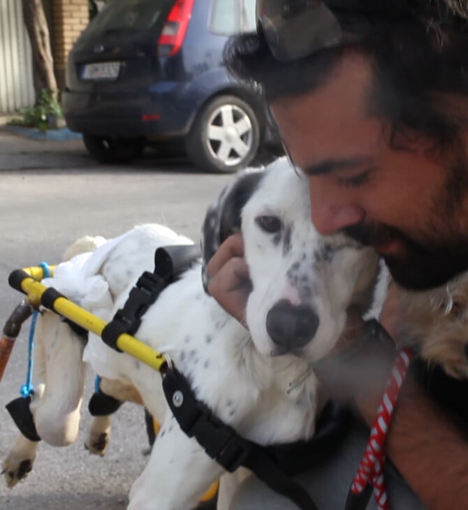 Ο καλύτερός μου φίλος: Βασίλης, Μάκης και Λίλη