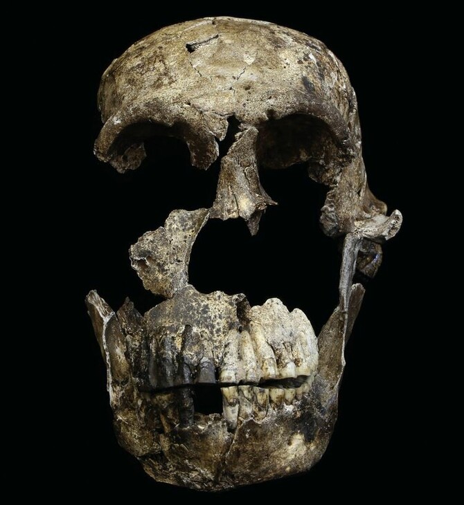Ο Homo naledi, ο άγνωστος «συγγενής» του ανθρώπου αλλάζει όλα όσα ξέραμε για την εξέλιξη του είδους μας