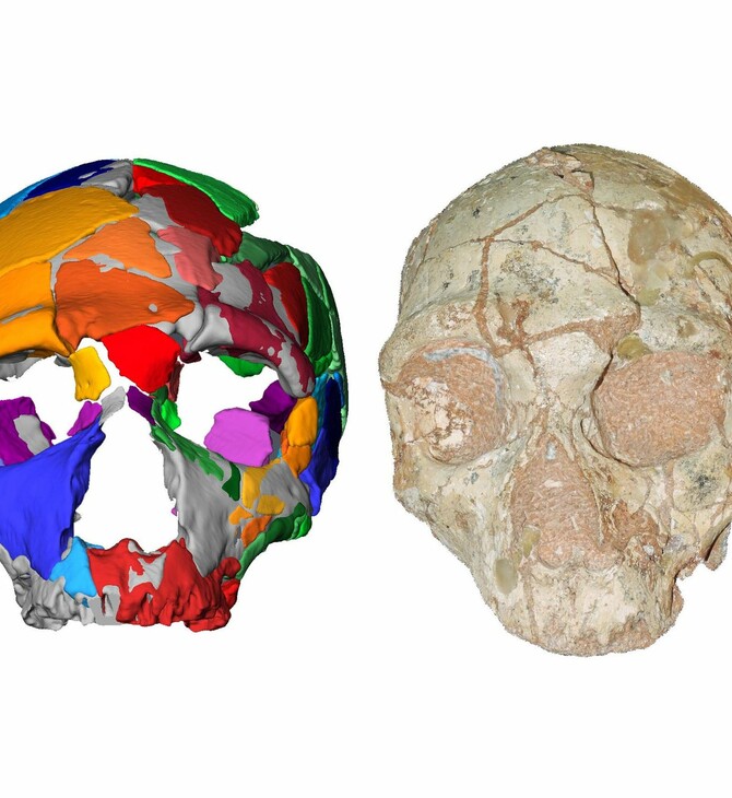 Το παλαιότερο κρανίο Homo Sapiens ανακαλύφθηκε στην Ελλάδα και ίσως αλλάζει όλη την προϊστορία του ανθρώπου