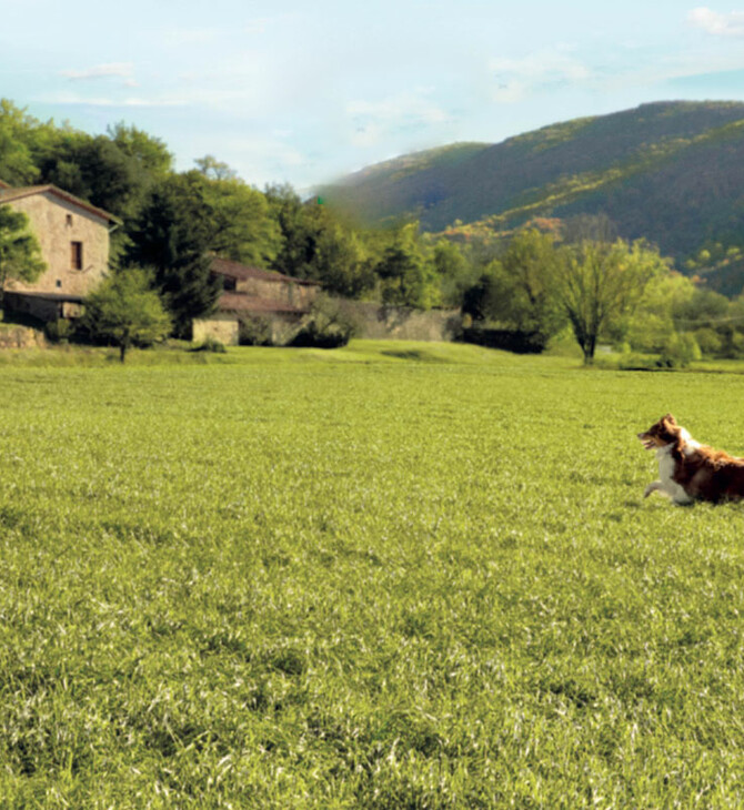 Country Farms: Το καλό είναι στη φύση τους 