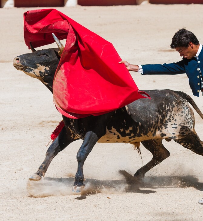 Madrid to host charity bullfight for matadors left jobless by COVID-19